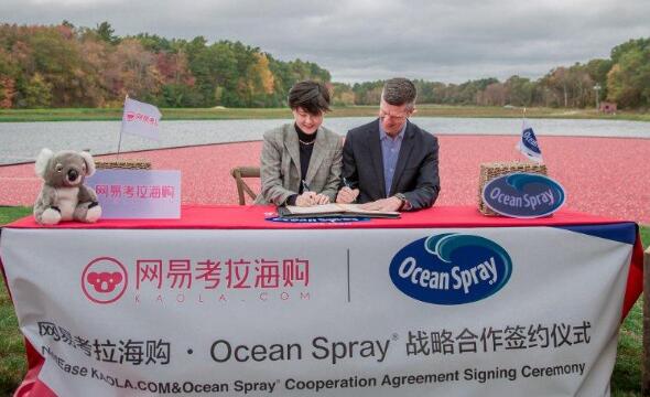 网易考拉CEO亲身探访优鲜沛Ocean Spray 原产地，新鲜直达再升级