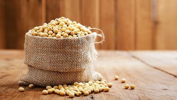 大豆或35年来首度超过玉米成“农作物之王” 美国农民的口味变了？