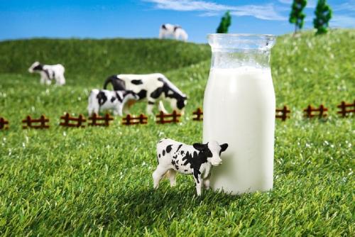 奶业展望：未来10年发展质量主导行业转型升级