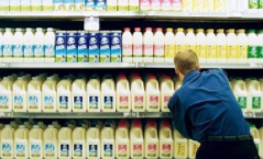 年人均牛奶消费量仅63升 玻利维亚欲激励乳制品行业发展