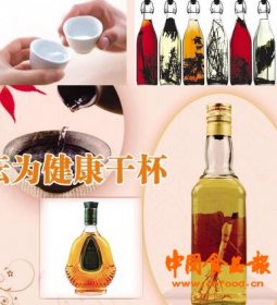 2016功能酒高峰论坛为健康干杯