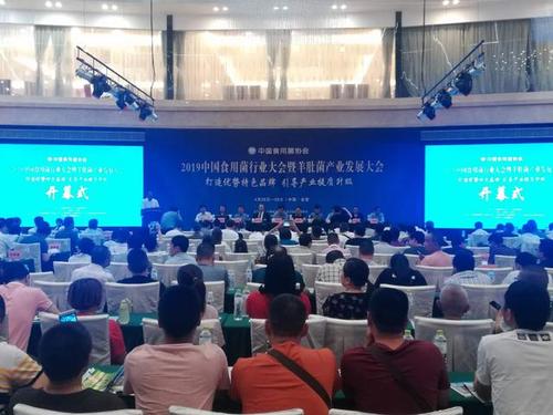 2019中国食用菌行业大会暨羊肚菌产业发展大会举办