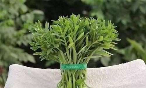 南昌一女子野菜煮水治咽喉炎引发腹泻