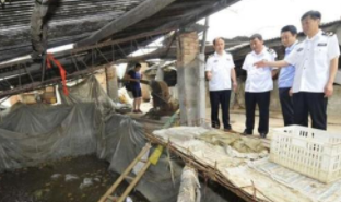 株洲市石峰区市场监管局查处无证无照腌菜黑作坊