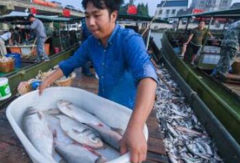 中国东海伏季休渔期结束 浙江沿海全面开渔