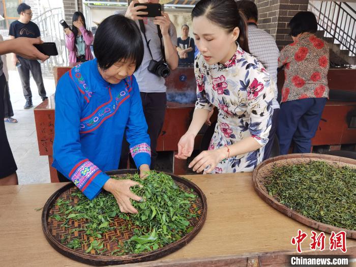 图为国家级六堡茶制作技艺非遗传承人韦洁群(左)与女儿石濡菲正在为刚采摘的茶叶杀青。　杨陈 摄