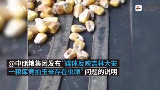 吉林：粮库政策性玉米存在虫眼