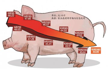 “二师兄”飞不起来了，猪肉价格持续走低