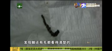 吃出烧焦虫子？汉堡王疯狂加盟扩张再亮食安红灯