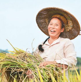 保护耕地，科技支撑！保障粮食安全有底气