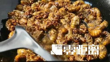 恶心、呕吐、腹泻……女子吃了家乡昆虫美食后昏迷休克！