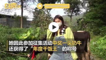 广东一女生点奶茶中奖一头奶牛