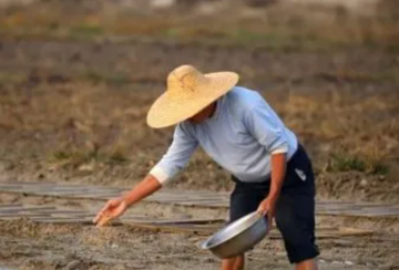 铺地膜、摆秧盘、撒种子……“彩云之南”播撒丰收的希望